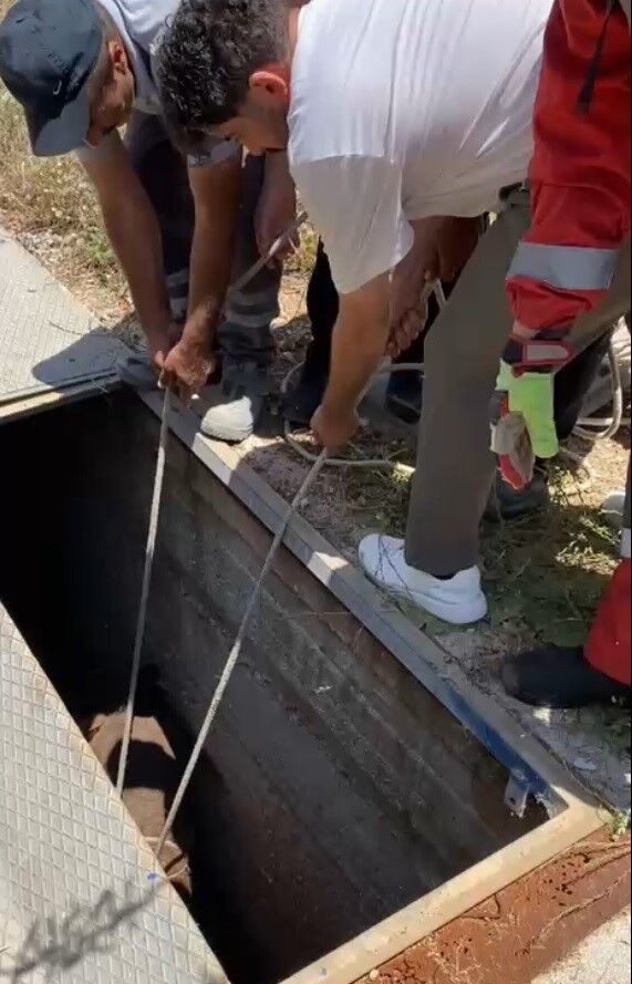 Sevimli Eşeğin Yardımına Ekipler Koştu (1)