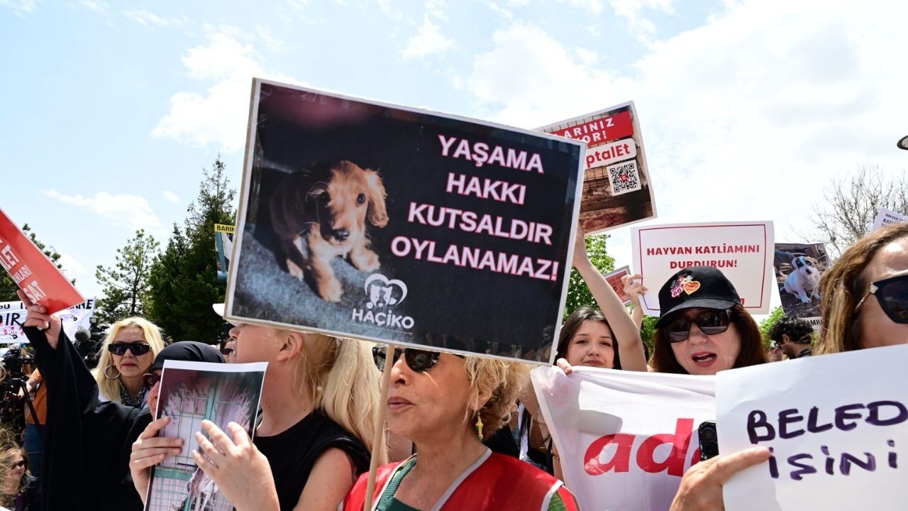 Ömür Gedik ve Ferhat Göçer HAÇİKO için sahnede