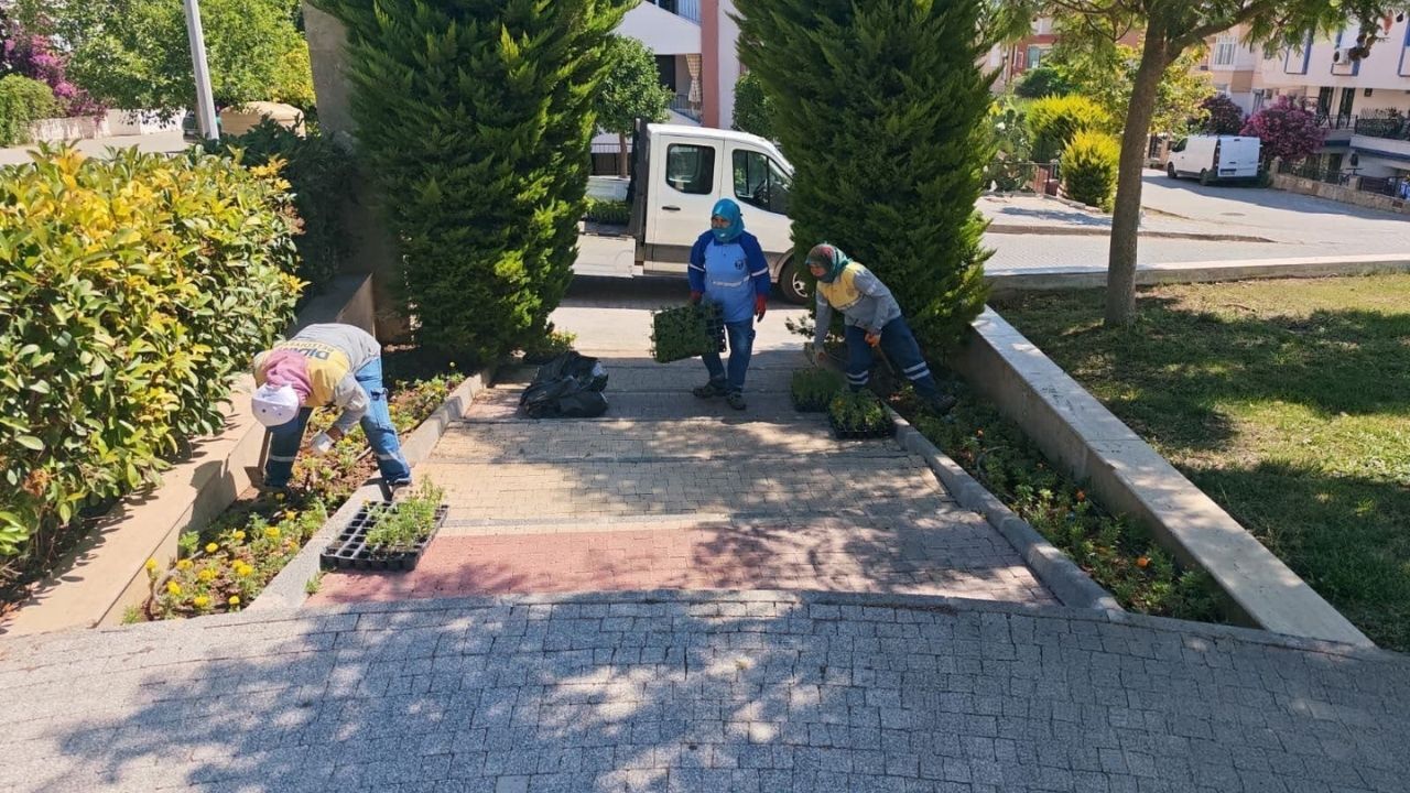 Didim Belediyesi Parklar 2