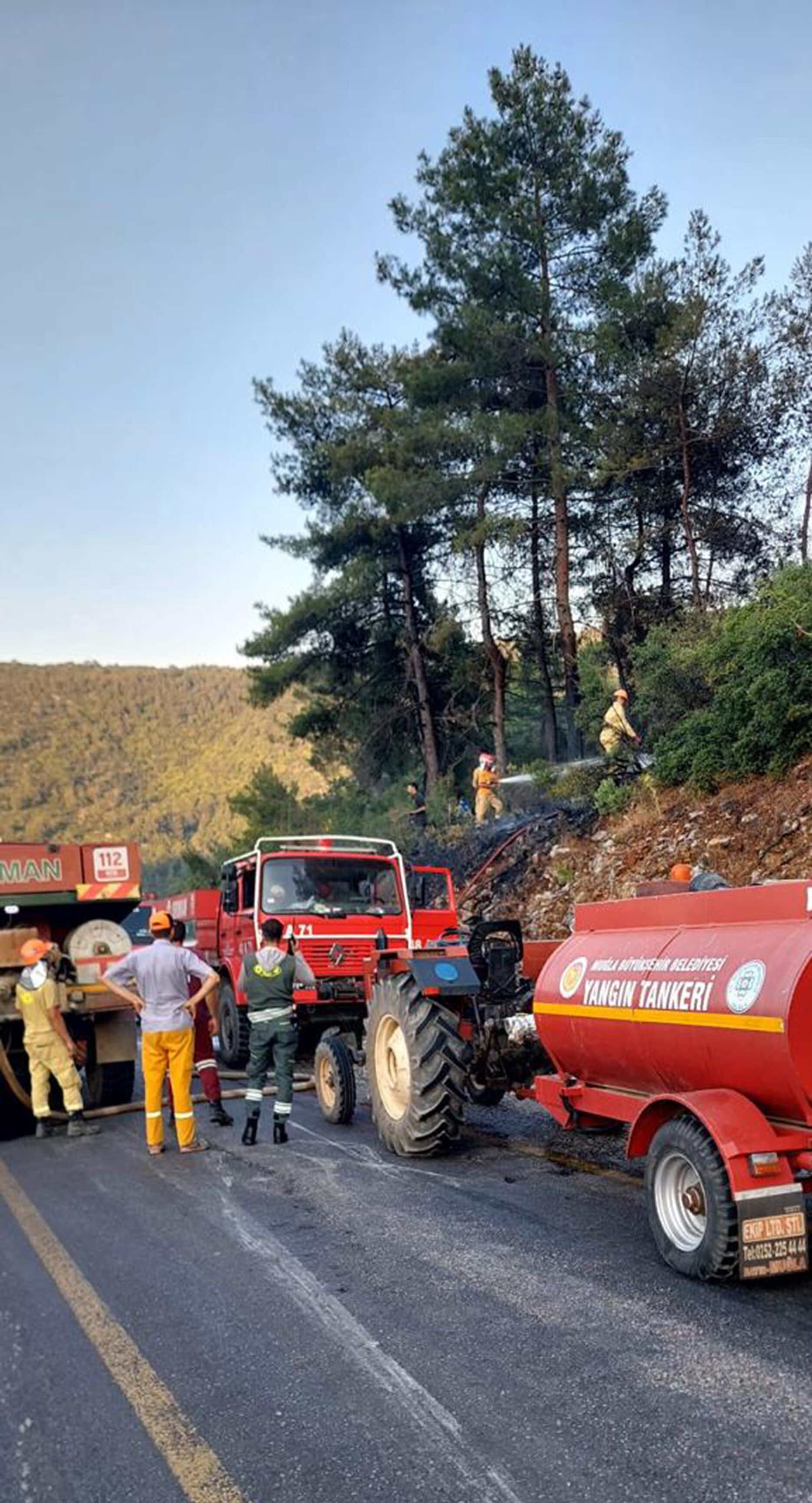 Menteşe Orman Yangını 1