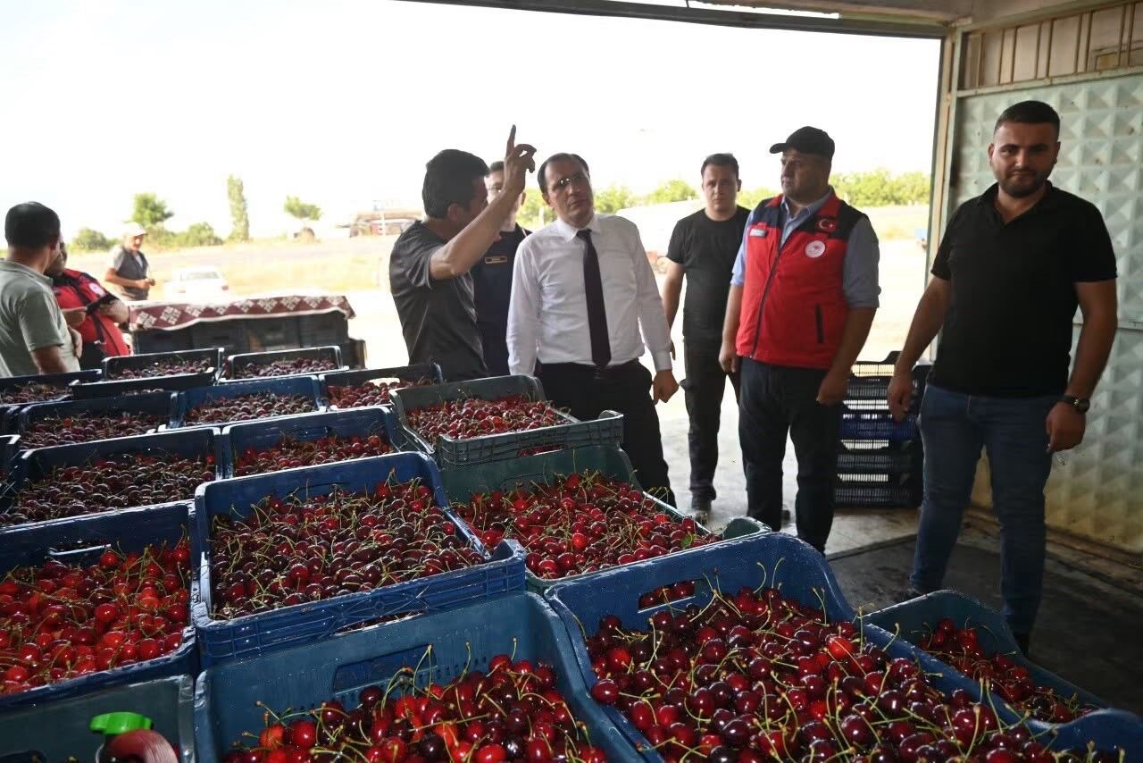 Afyon Çay Kiraz 1