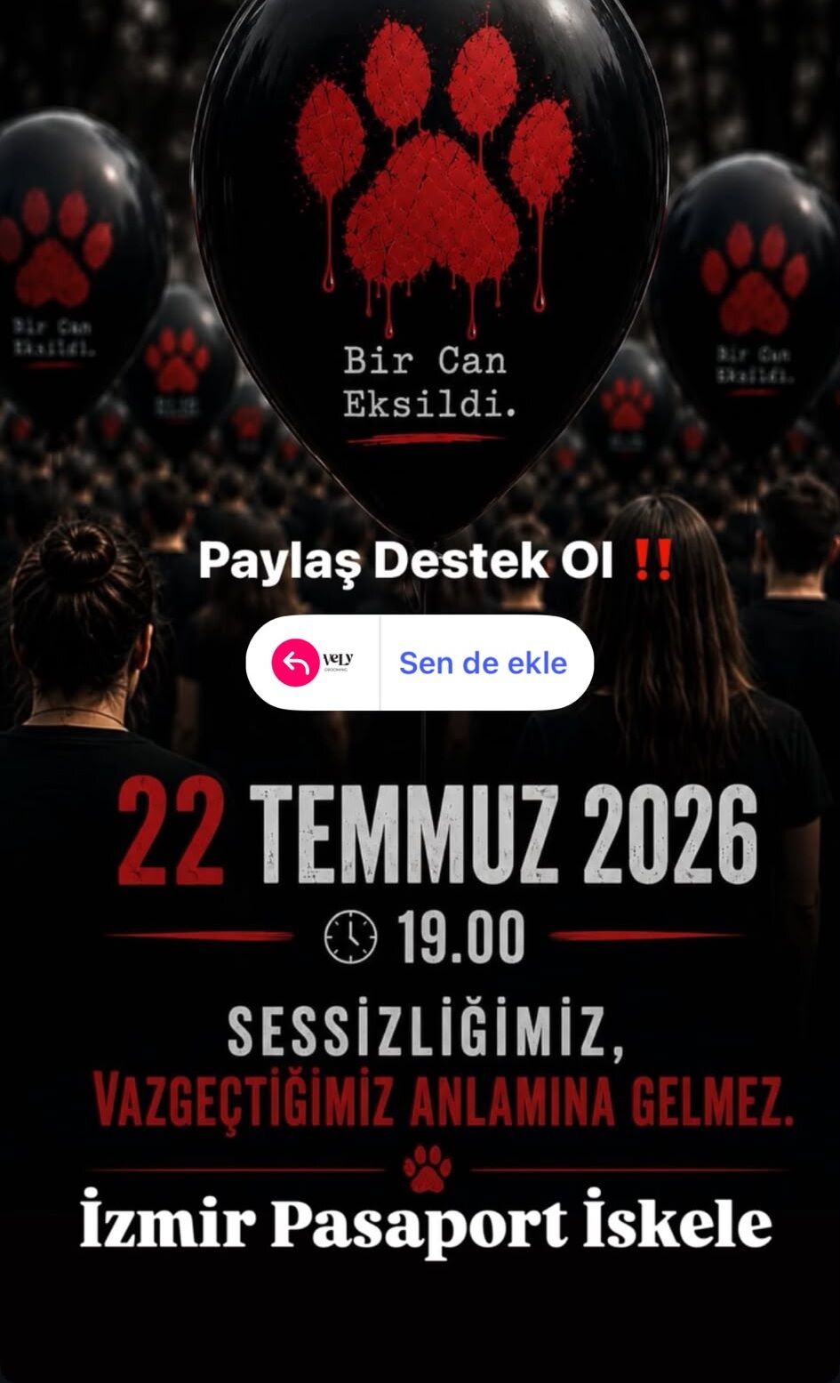 Hayvan Şiddet 4