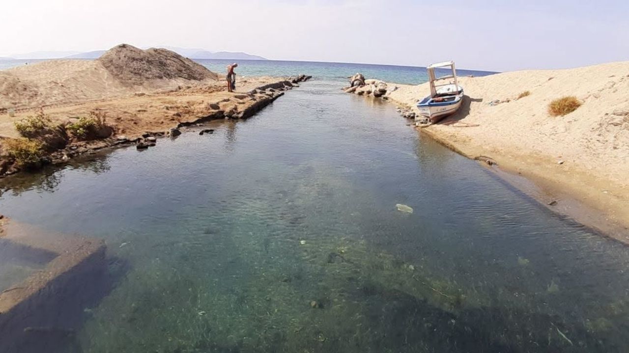 Korumasız Göl 5
