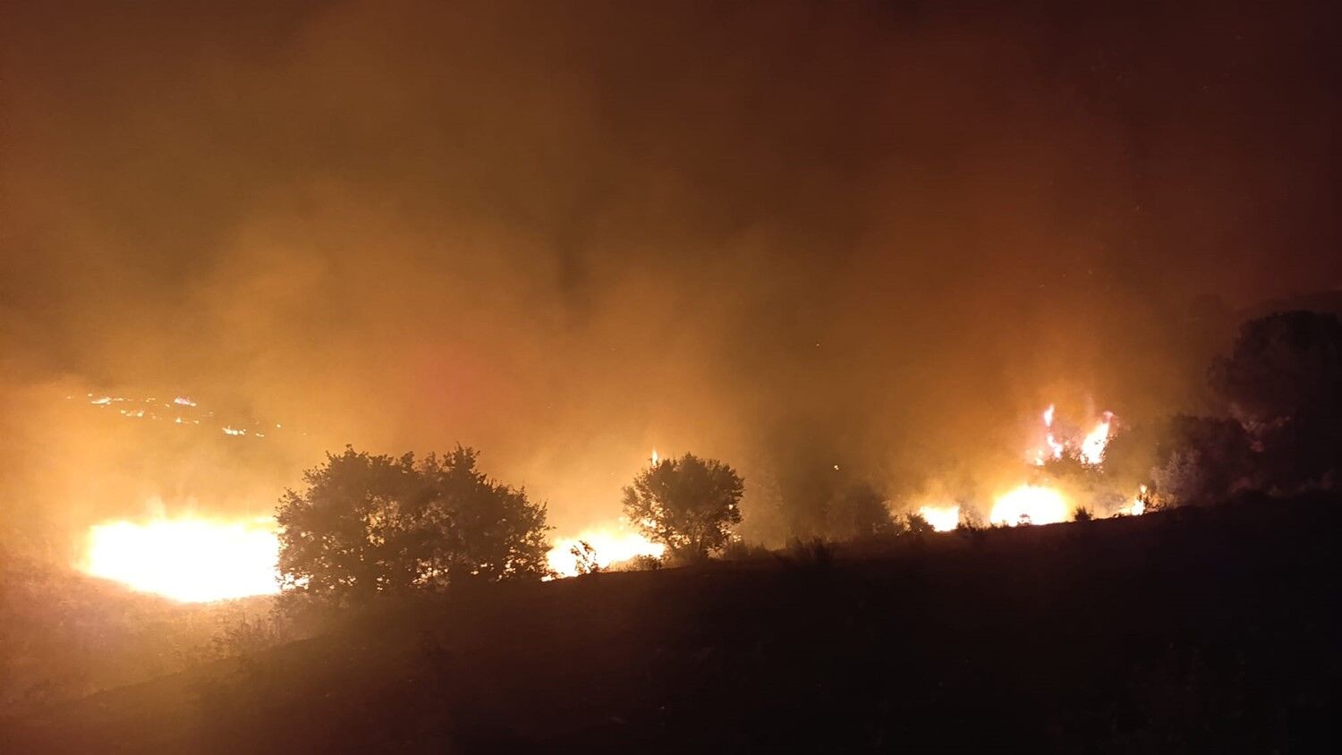 Manisa Kula Yangın 2