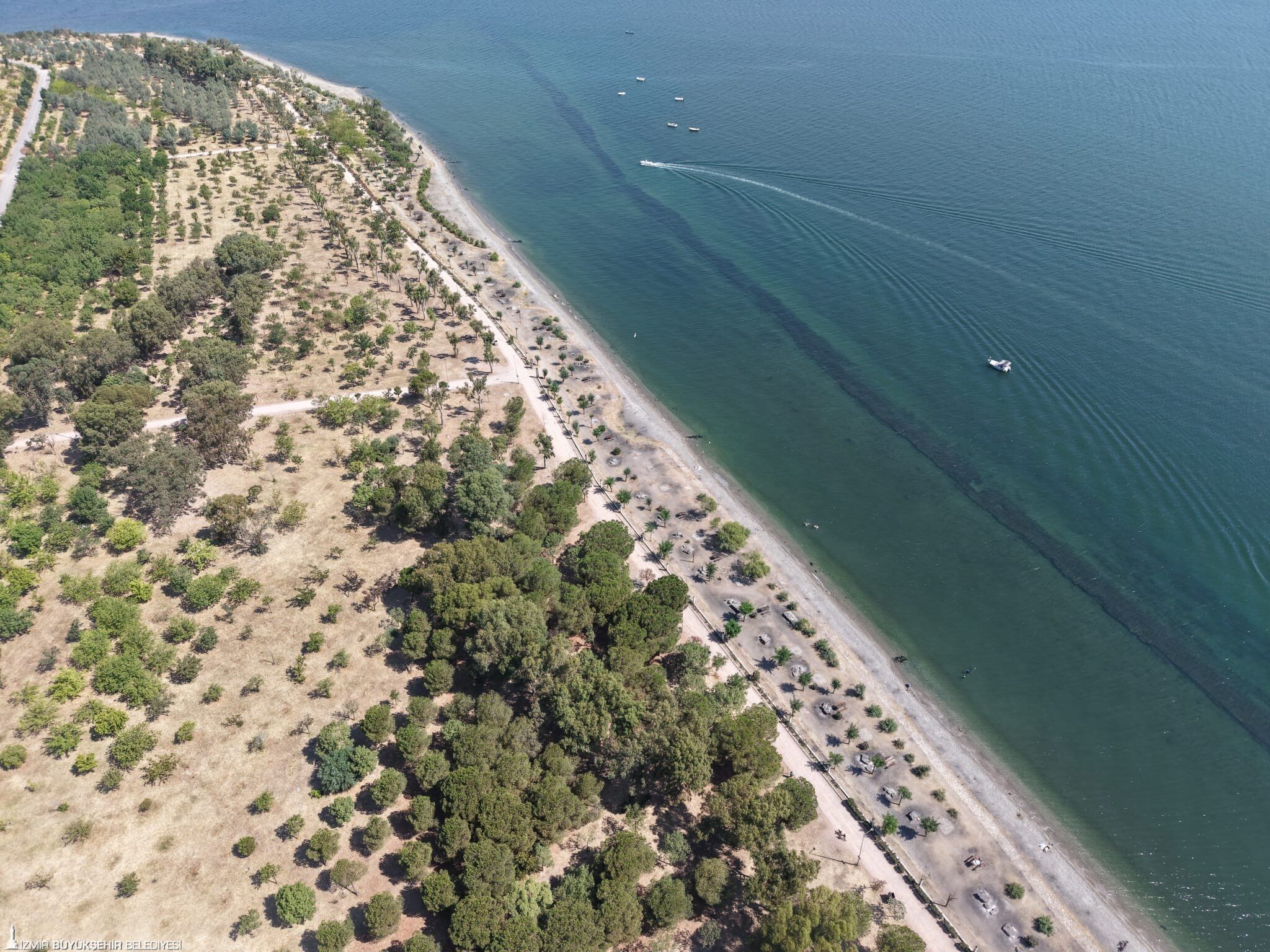 3İnciraltı Kent Ormanı Yenileniyor Mangal Yasağı Getirildi!