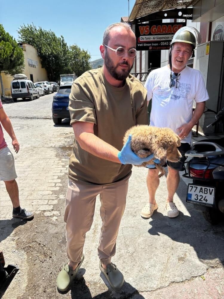 Araç Tamponuna Sıkışan Yavru Köpeği Veteriner Hekimler Kurtardı 33