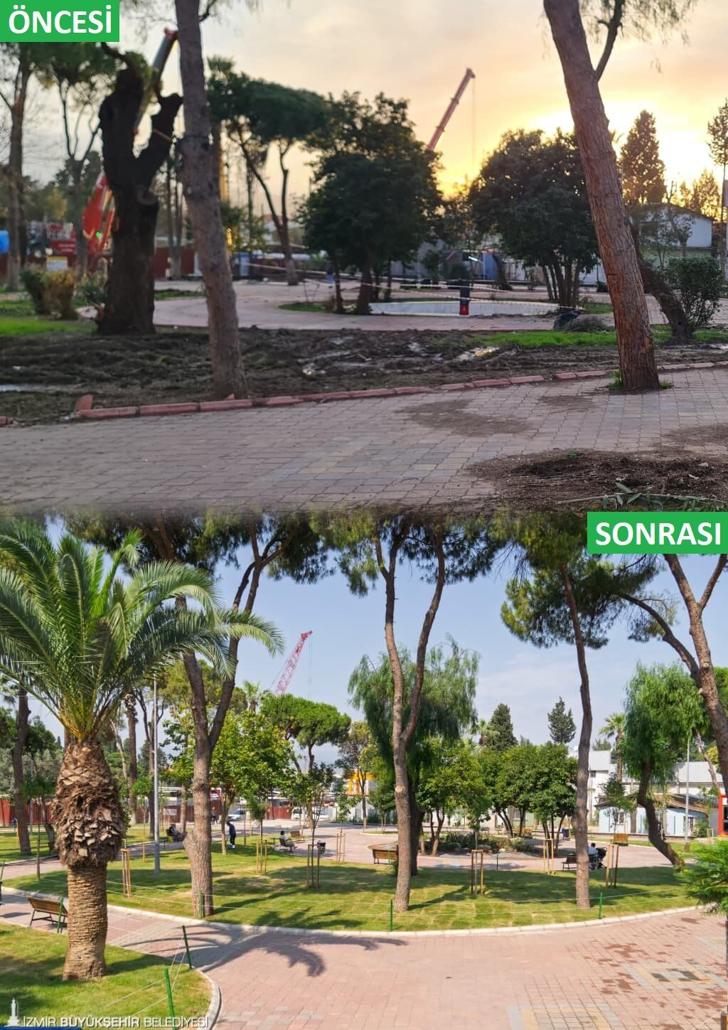 Atıl Durumdaki Şirinyer Parkı 'Botanik Bahçesi' Gibi Oldu10