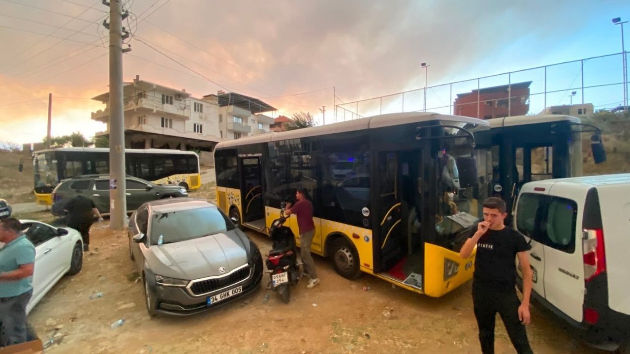 Aydın Çine Otobüs