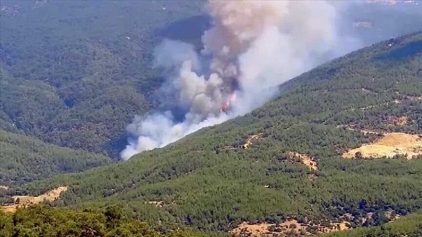 Aydın’da Orman Yangını Riski En Üst Seviyede Valilik Uyarı Yaptı! (1)