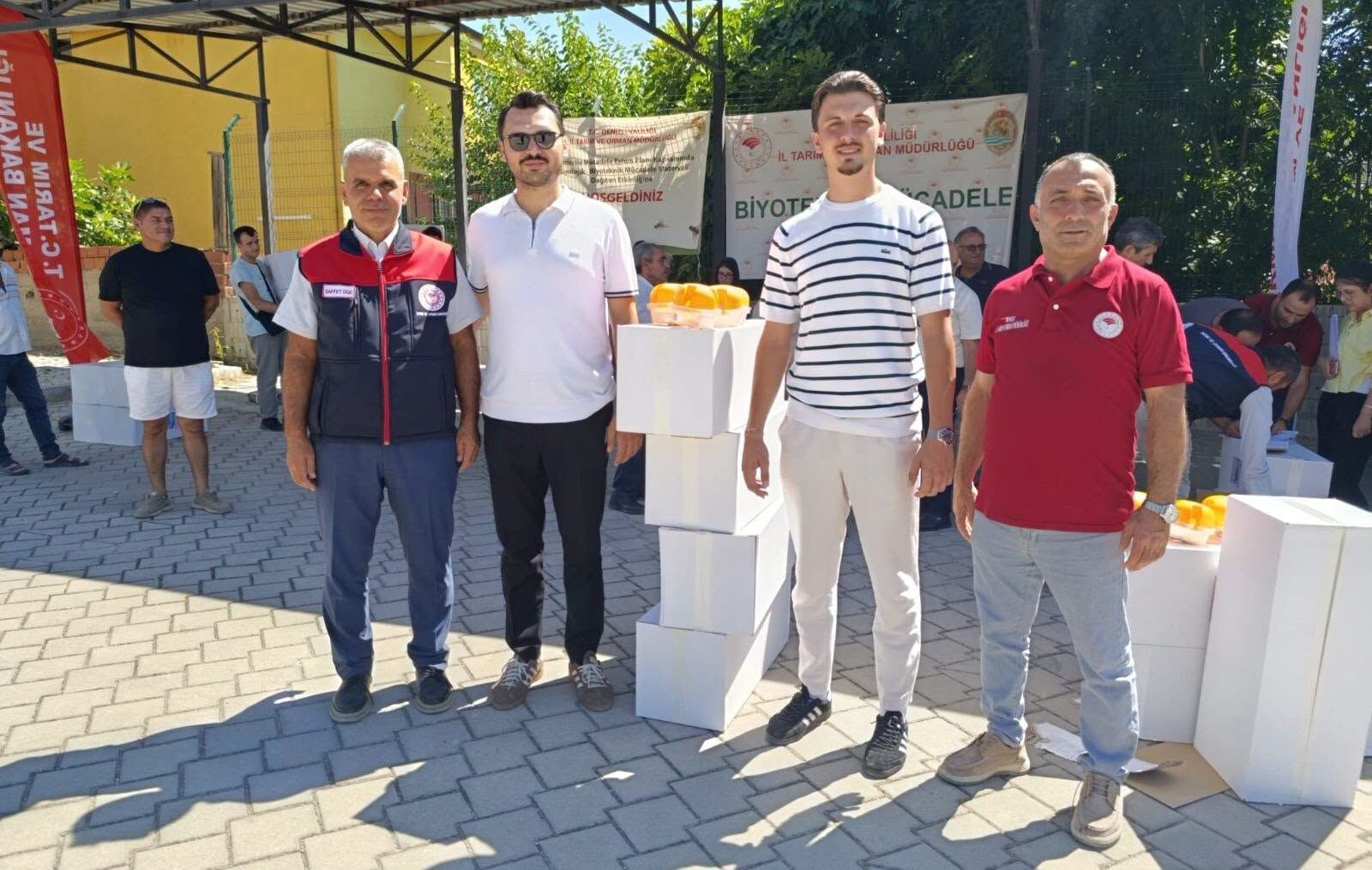 Ayvada Kalıntısız Üretim (3)