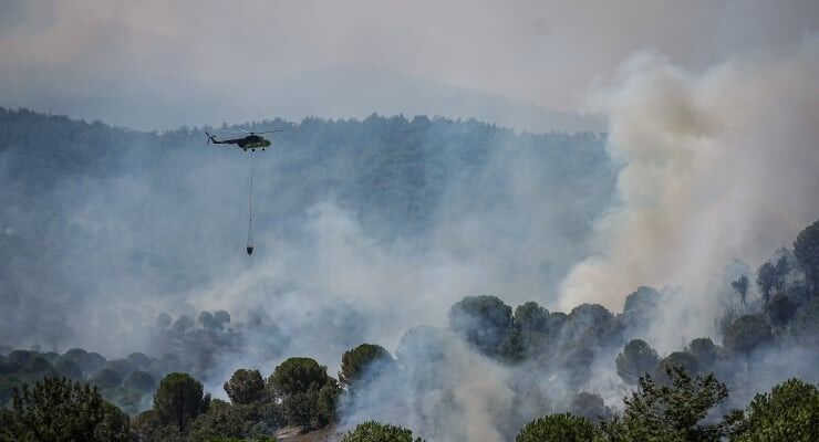 Ayvalık Yangın 33