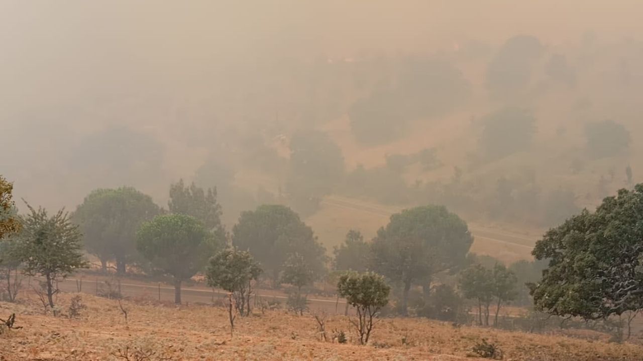Balıkesir Yangın1