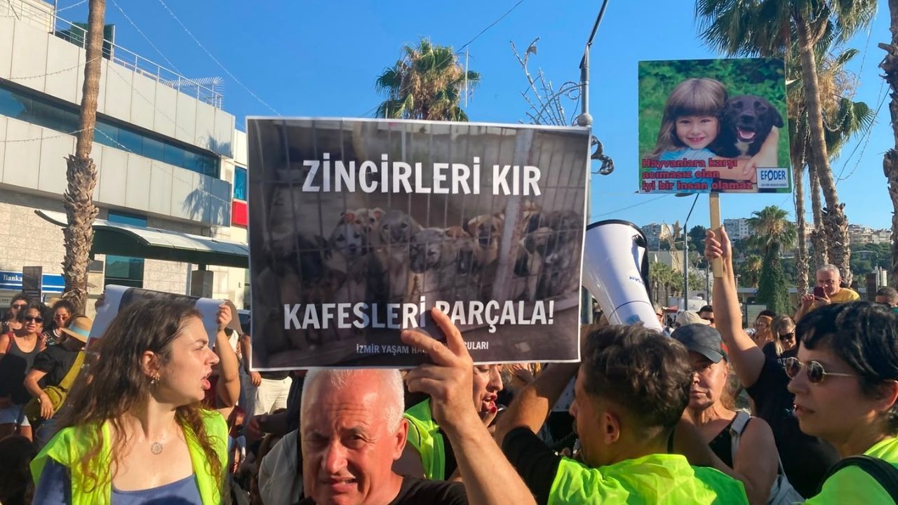 Barınak1