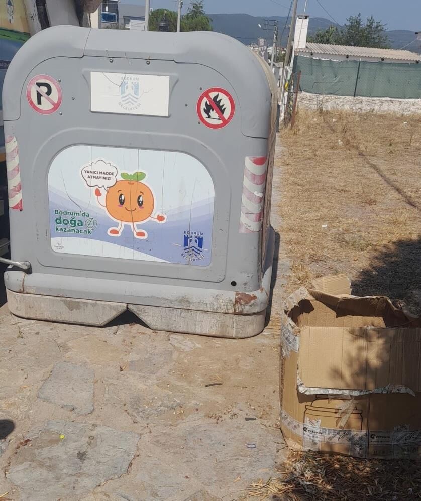 Belediye Ekibinin Dikkati Yavru Kedileri Hayata Bağladı 333