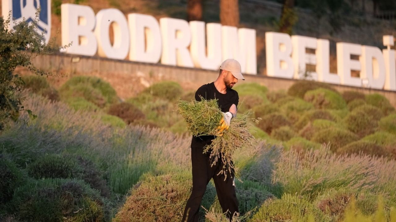 Bodrum Belediyesi