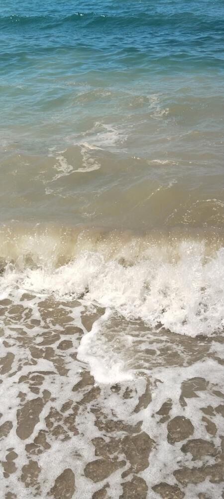Bodrum’da Mavi Vatanı Kirletenlere Başsavcılık Kıskacı! 33