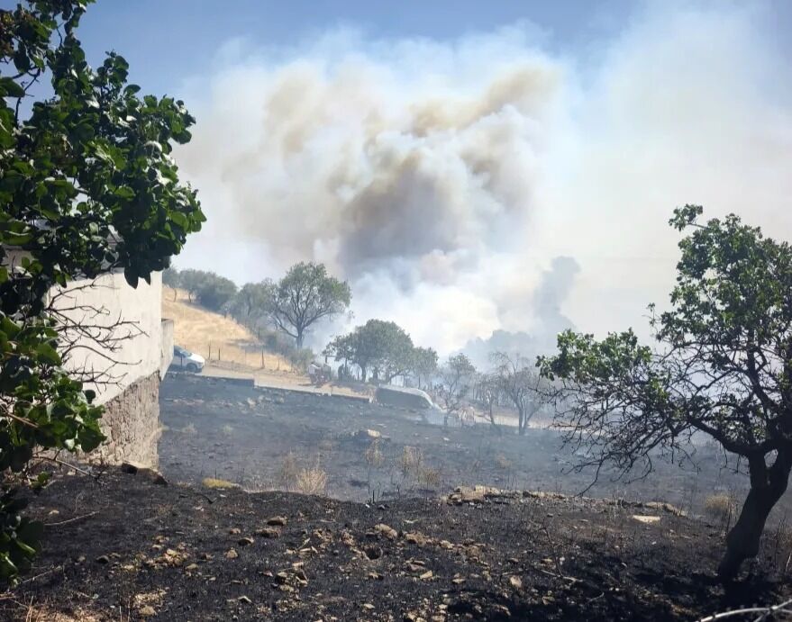 Çanakkale Yangın