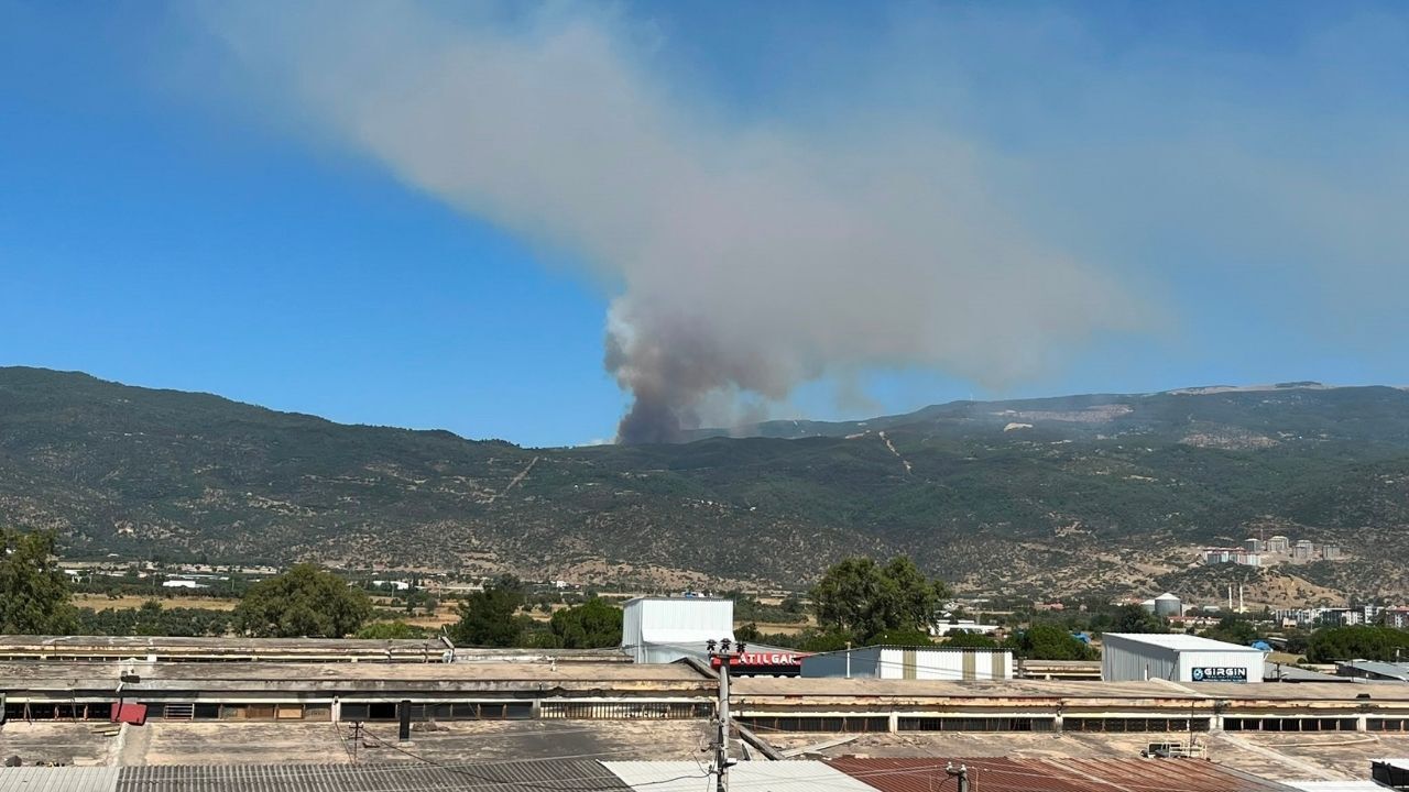 Çine Yangın1