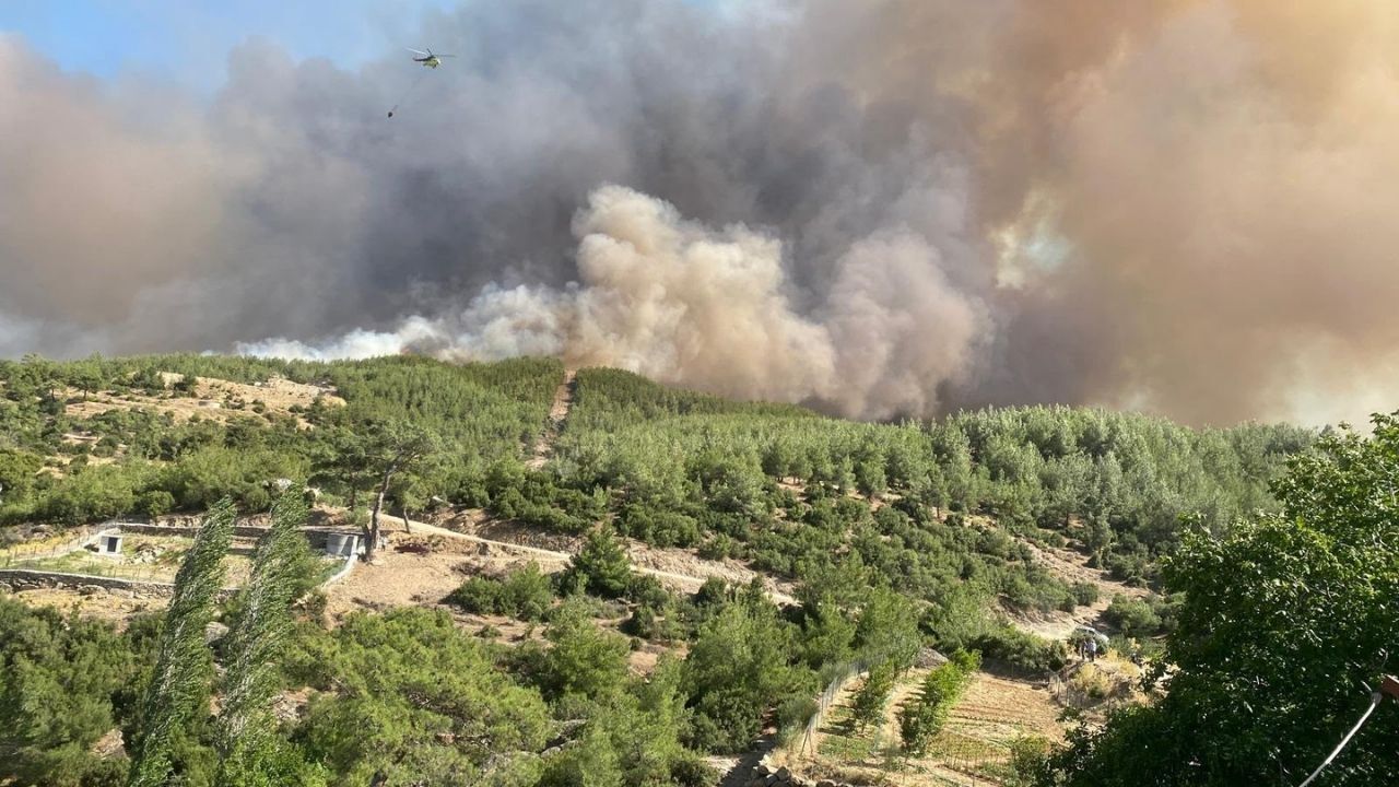 Çine Yangın5
