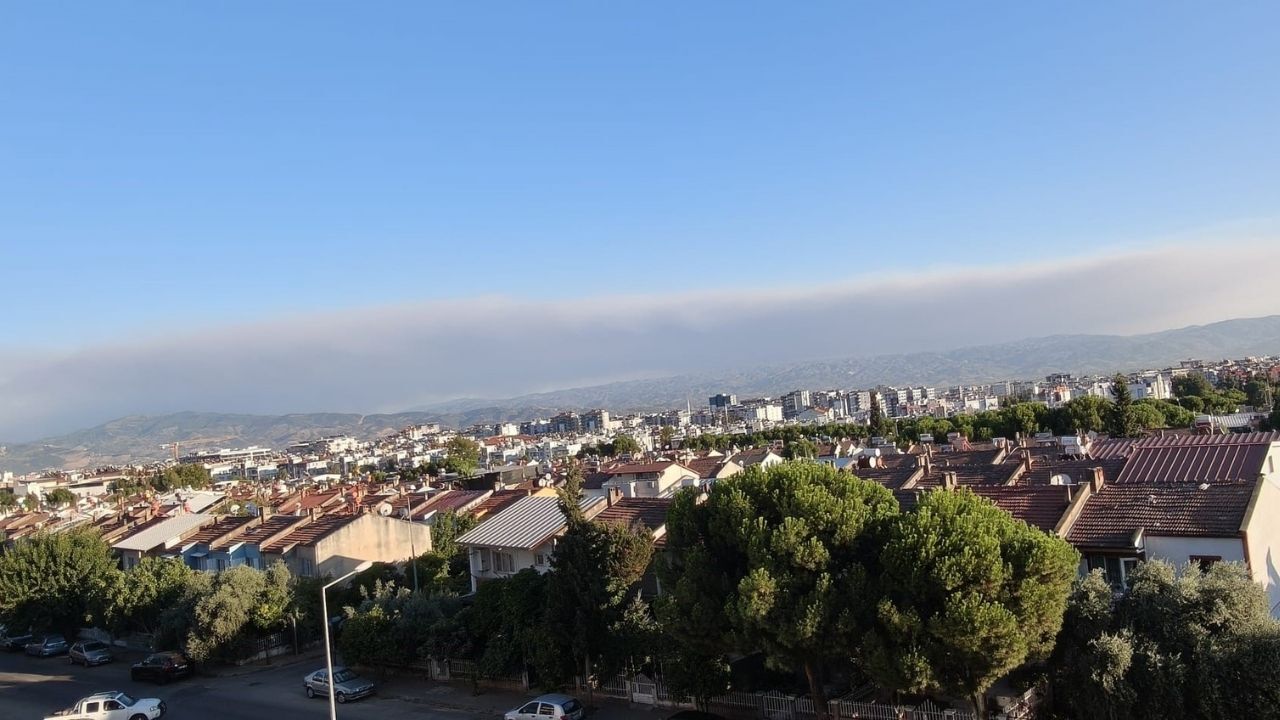 Çine Yangını Efeler