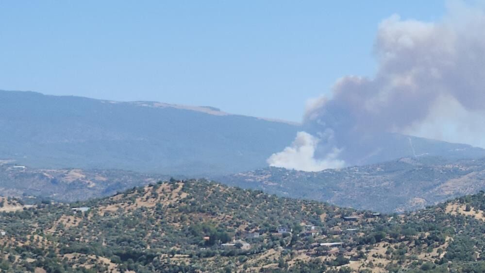 Çine'de Orman Yangını