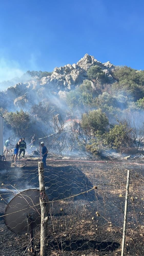 Datça'da Makilik Alanda Korkutan Yangın 11
