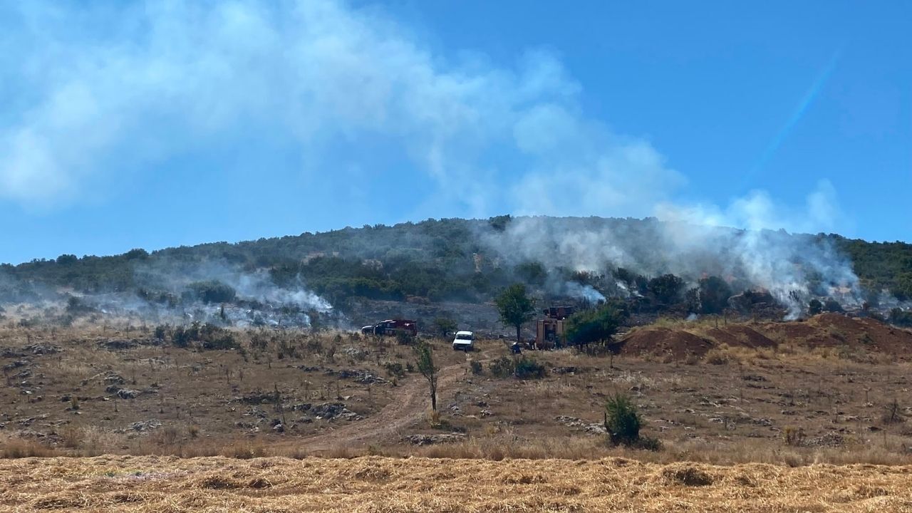 Denizli Tavas Yangın