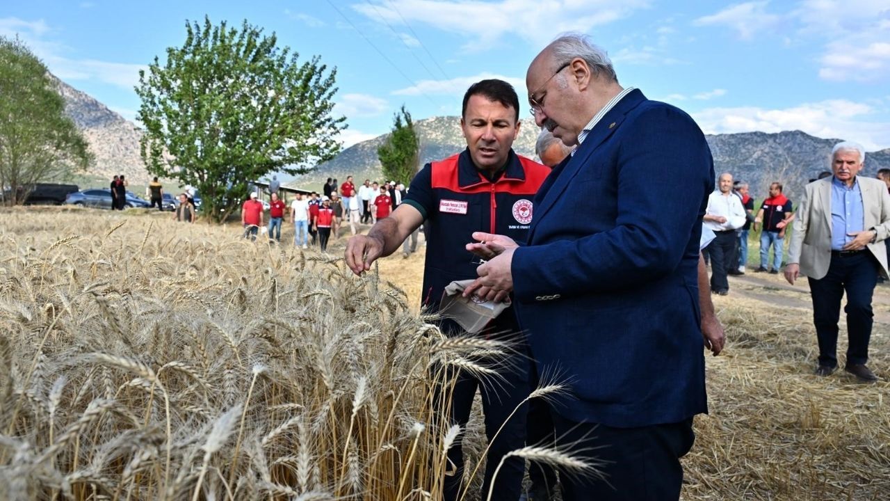 Denizli Valisi Köşger
