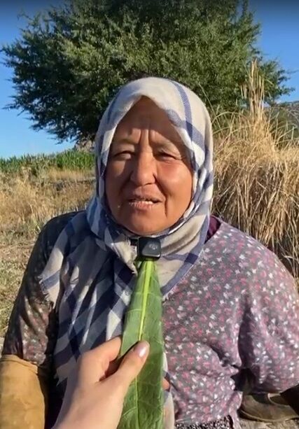 Emekçi Kadınların Tütün Tarlasında Zorlu Mücadelesi (2)