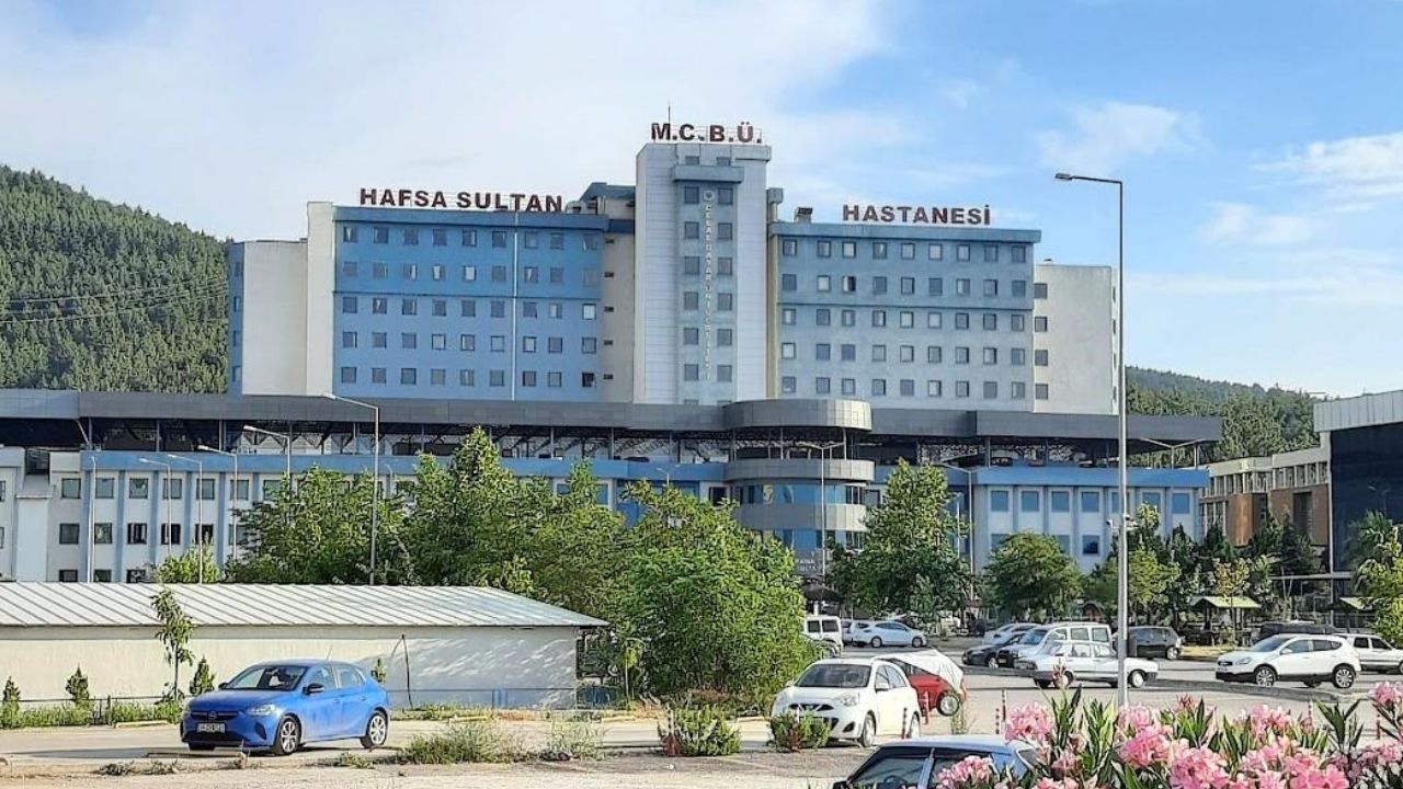 Ege