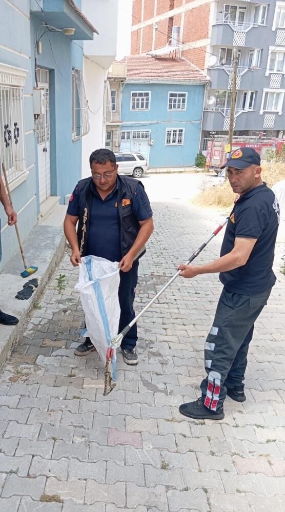 Eve Giren Yılan Paniğe Neden Oldu