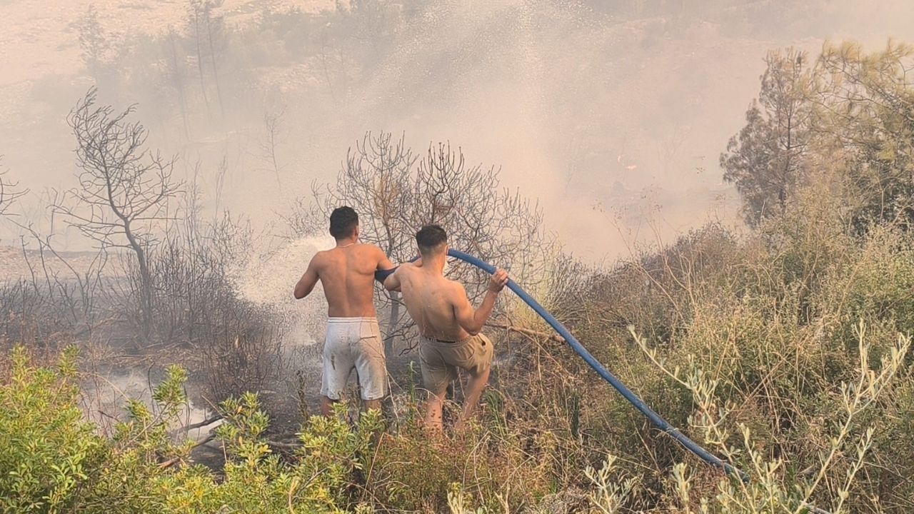 Fethiye Gönüllü2