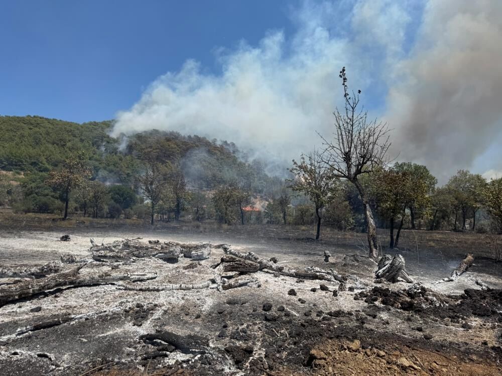 Fethiye'de Orman Yangınını Söndürme Çalışmaları Sürüyor 22