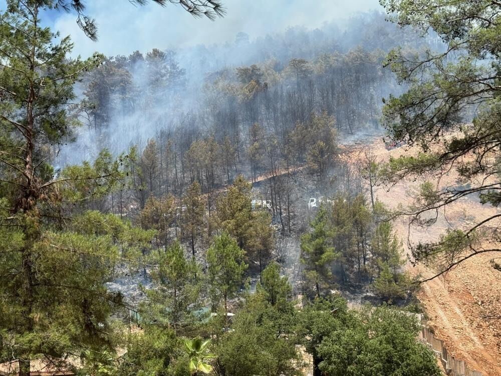 Fethiye'de Orman Yangınını Söndürme Çalışmaları Sürüyor