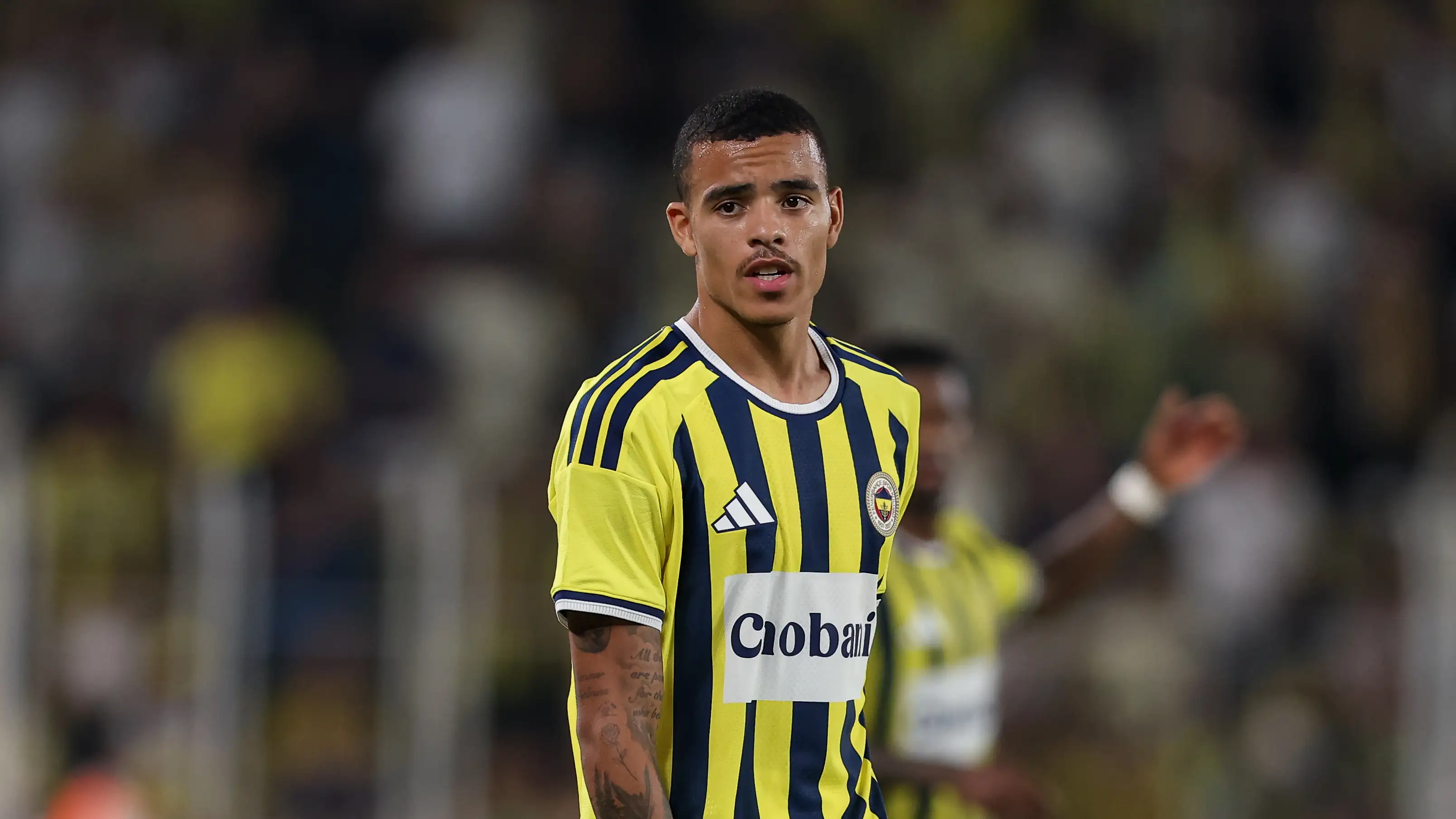 Greenwood Fenerbahçe