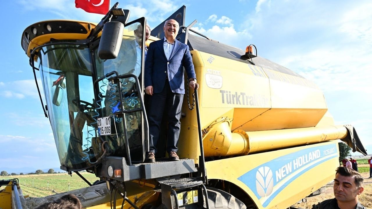 Hasat Zamanı Denizli