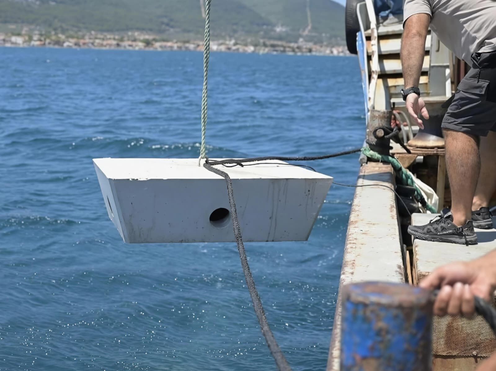 İzmir'de Ahtapotlar Için Denize Yapay Resif Bırakıldı (3)