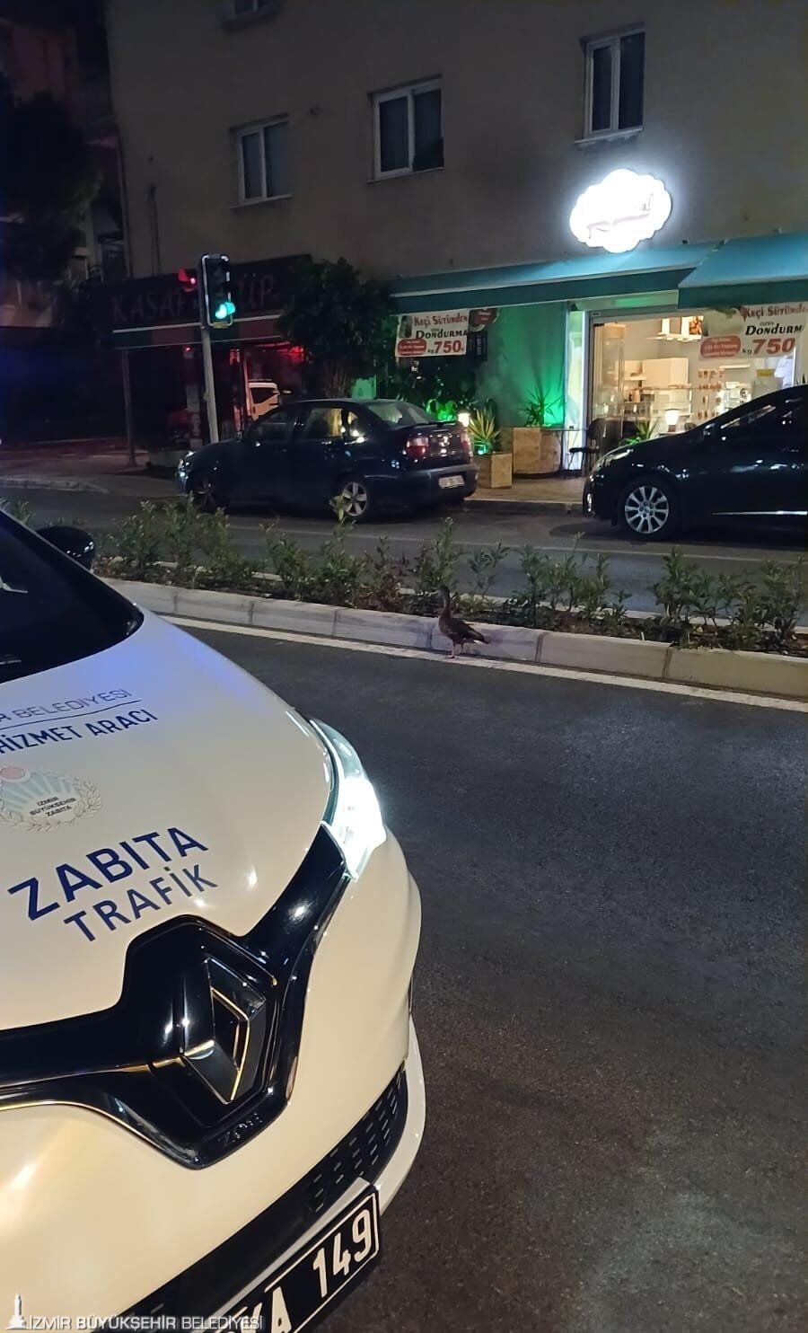 İzmir'de Trafiği Durduran Kurtarma! Zabıta Son Anda Fark Etti (3)