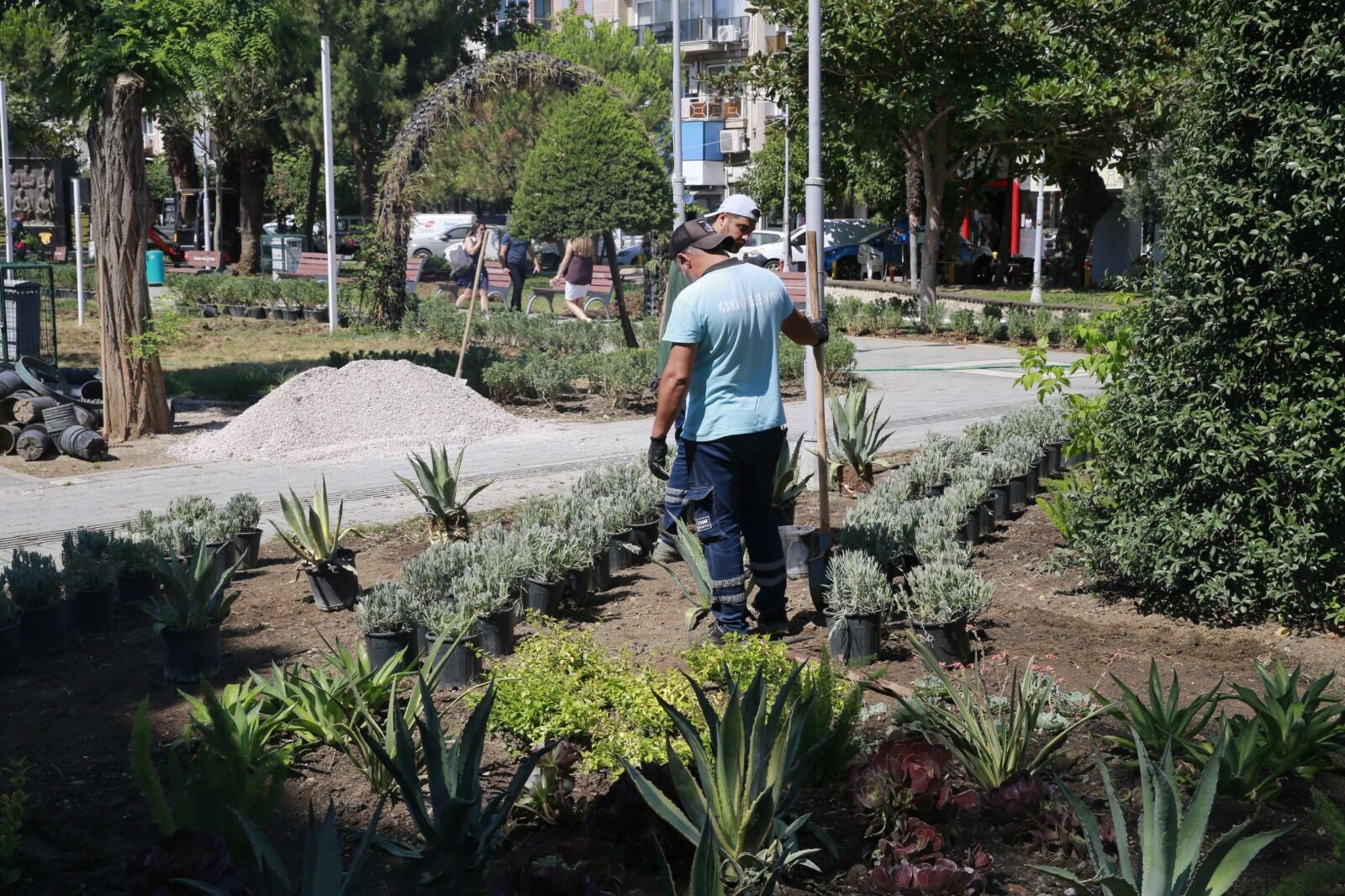 Konak Belediyesi’nin Ilçe Genelindeki Park Ve Yeşil Alanlarda Tam Gaz Sürdürdüğü Bakım, Onarım Ve Düzenleme Çalışmaları Kapsamında Az Su Tüketen Ve İzmir Iklimine Uyumlu Bitki Türleri Kullanılarak Sürdürülebilir, Çevre D