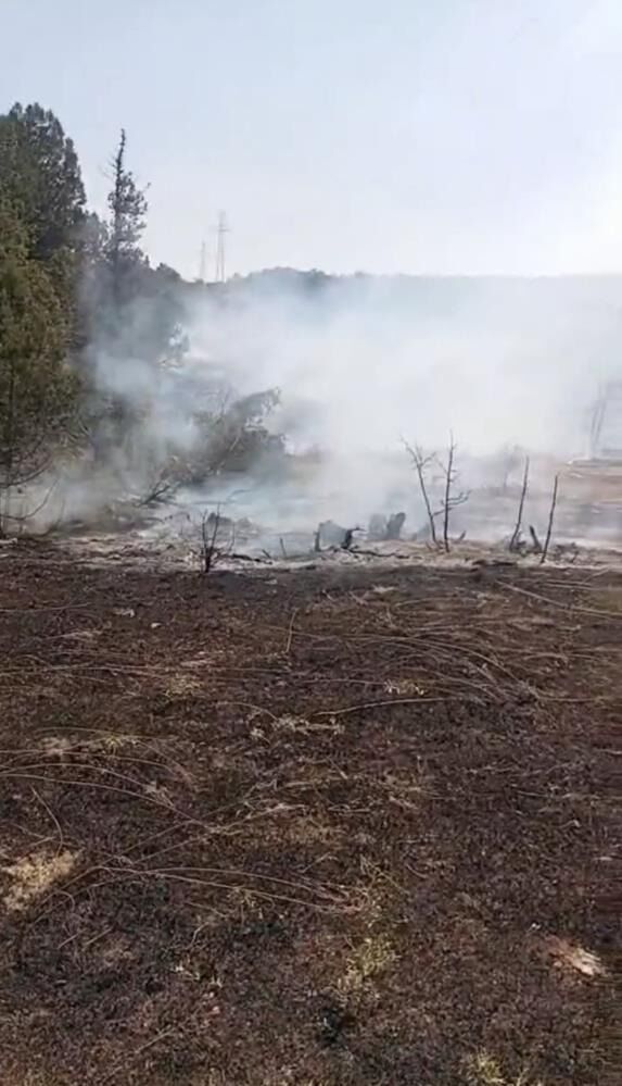 Kütahya'da Orman Yangını 22