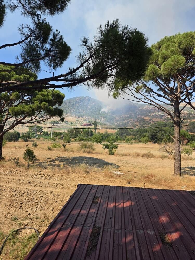 Muğla’da Orman Yangını 11