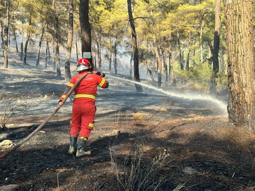 Muğla'nın Ortaca Ilçesinde Dün Akşam 3 Hektar Alanın Zarar Gördüğü Orman Yangını Ile Ilgili 1 Kişi Gözaltına Alındı. Şüpheli, Çıkartıldığı Mahkemece Adli Kontrol Şartı Ile Serbest Bırakıldı