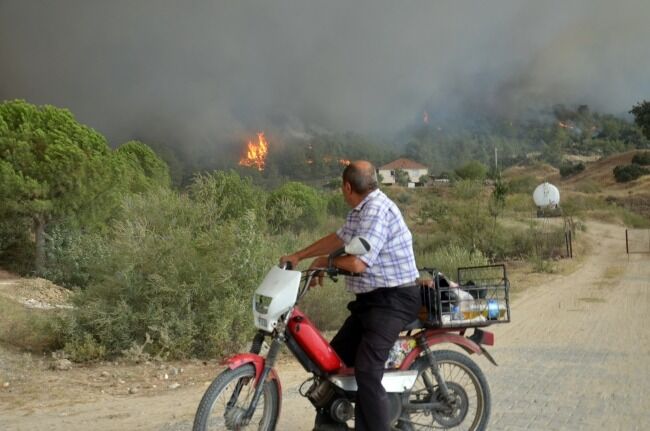 Orman Yangını