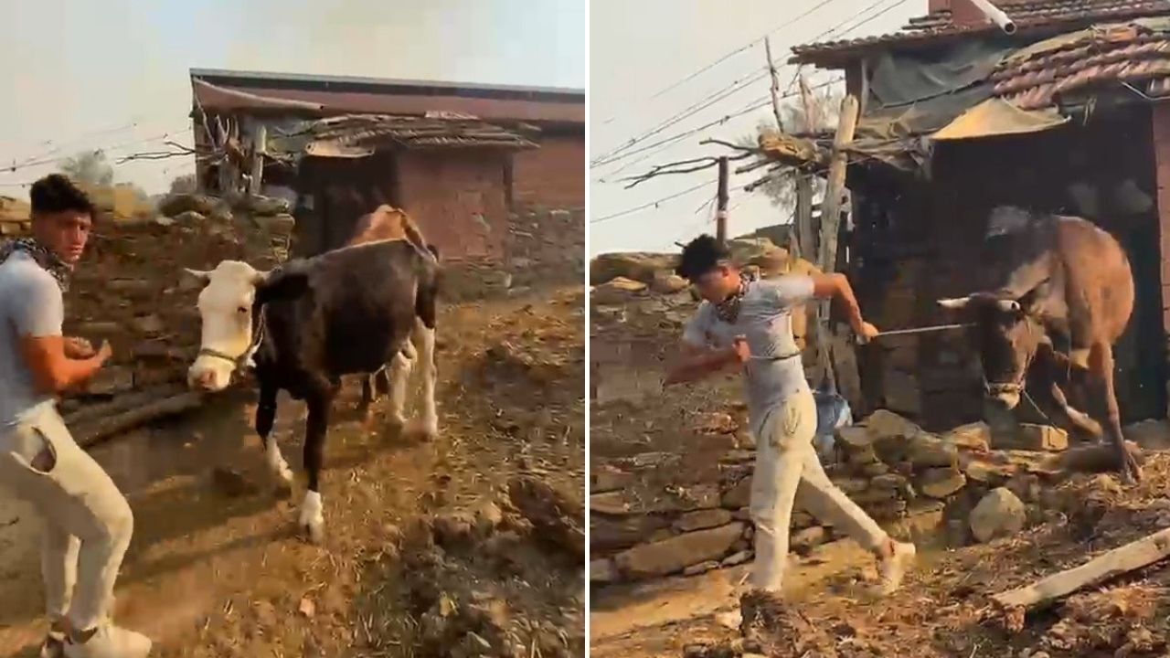 Aydın'ın Bozdoğan ilçesinde dün çıkan ve ekiplerin yoğun mücadelesiyle 8 saatte kontrol altına alınan zeytinlik yangınında, hektarlarca alan zarar gördü ve 46 vatandaş bölgeden tahliye edildi.