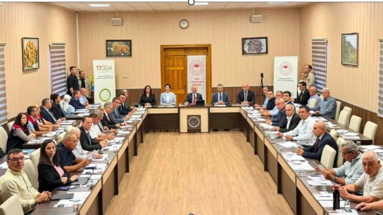 Türkiye'nin dünyada lider olduğu kuru incirde yeni sezon öncesi tüm paydaşlar Aydın'da bir araya geldi. Ancak daha önce incir gündemiyle Aydın'a geleceği açıklanan Tarım ve Orman Bakanı İbrahim Yumaklı'nın kritik zirvede yer almaması dikkat çekti.