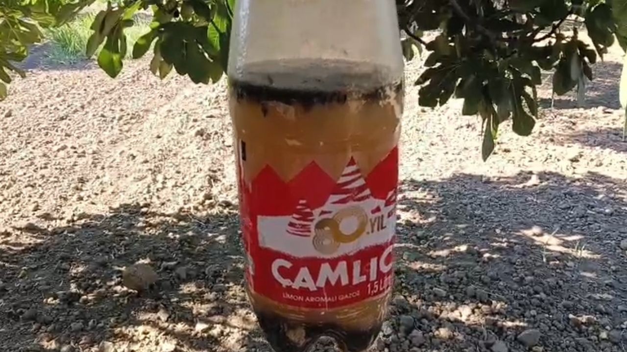 Aydın’ın üretimde ve ihracatında dünya lideri olduğu kuru incir mesaisi başladı. Yeni sezon öncesi ilek işlemini tamamlayan üreticiler, kuru incirlerde kalite kaybı ve patlamaya neden olan sirke sineğine (ekşilik sineği) karşı doğal yöntemle mücadele ediyor.