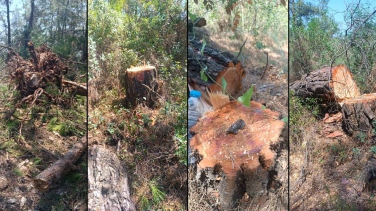 Muğla’nın İkizköy Mahallesi'nde termik santral için başlatılan acele kamulaştırma sürecinde mahkeme, Danıştay'daki dava sonuçlanana kadar yargılamayı durdurma kararı aldı.