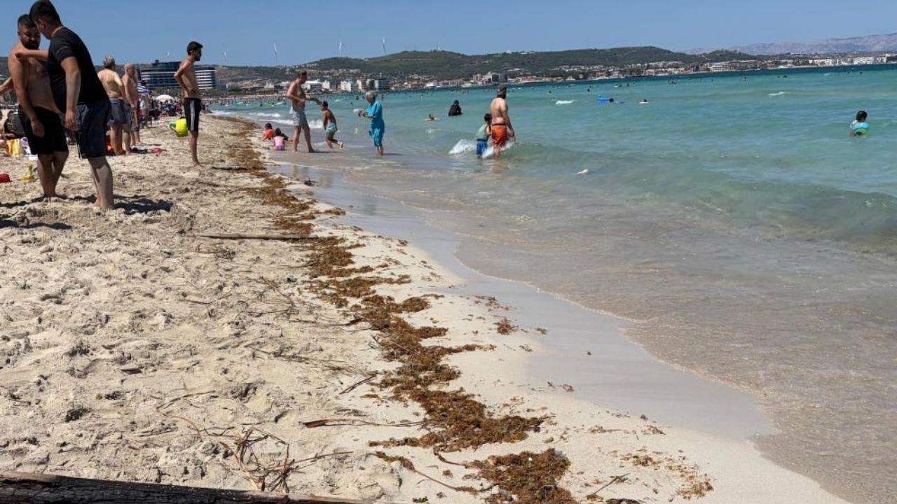 İzmir’in turizm cenneti Çeşme Ilıca Plajı’ndaki çöp, yosun ve balık ölüleri tatilcileri çileden çıkardı. Kirliliğe tepki gösteren vatandaşlar, bakımsızlıktan şikâyet ederek kurumları göreve çağırdı.