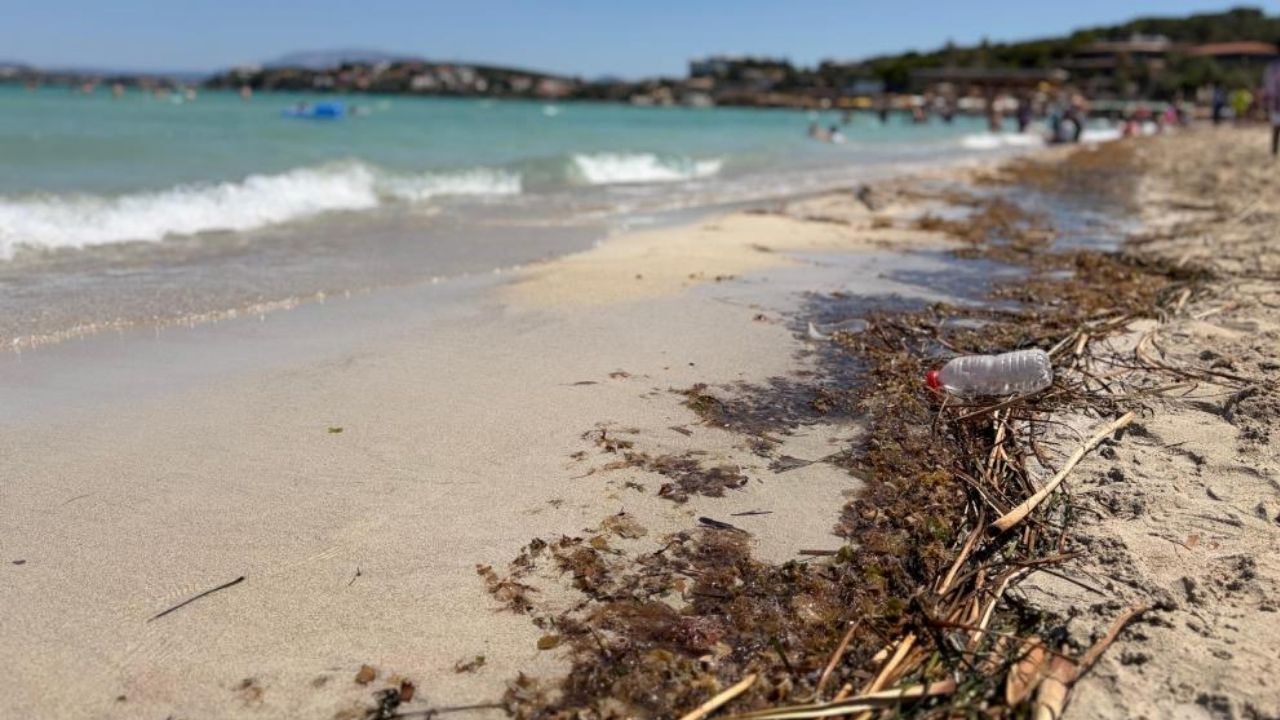 İzmir’in turizm cenneti Çeşme Ilıca Plajı’ndaki çöp, yosun ve balık ölüleri tatilcileri çileden çıkardı. Kirliliğe tepki gösteren vatandaşlar, bakımsızlıktan şikâyet ederek kurumları göreve çağırdı.
