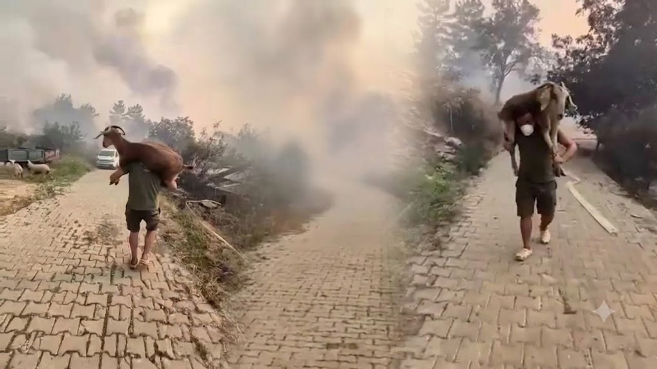 Çevre